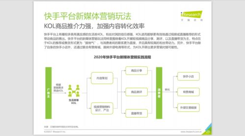 2020中国新媒体营销策略白皮书 